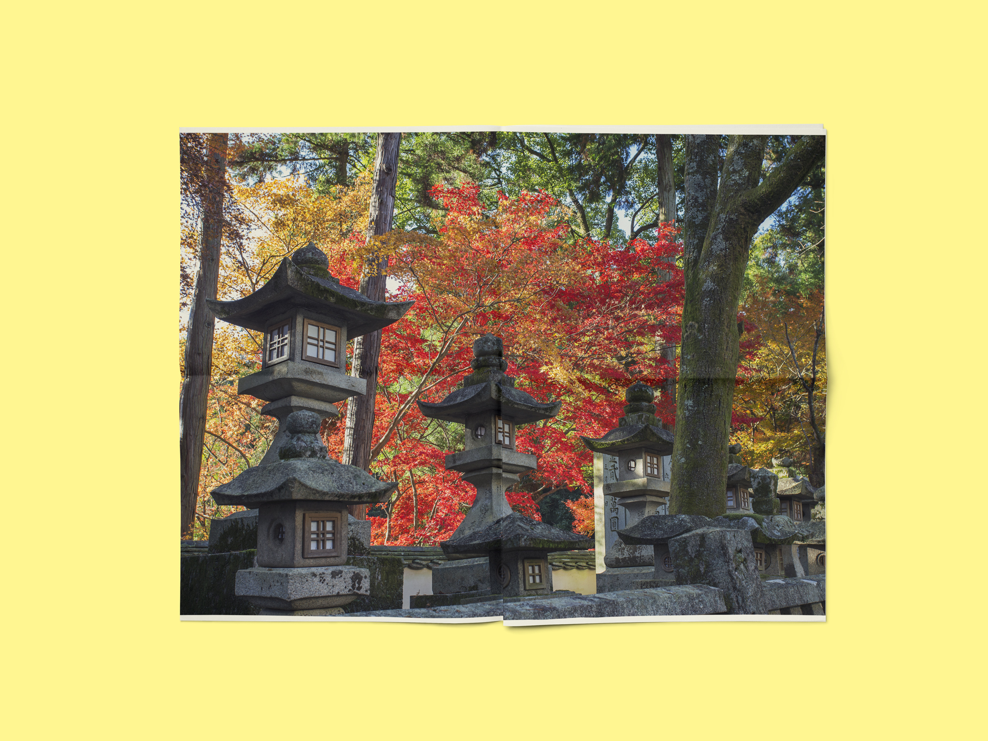 landscape_0278