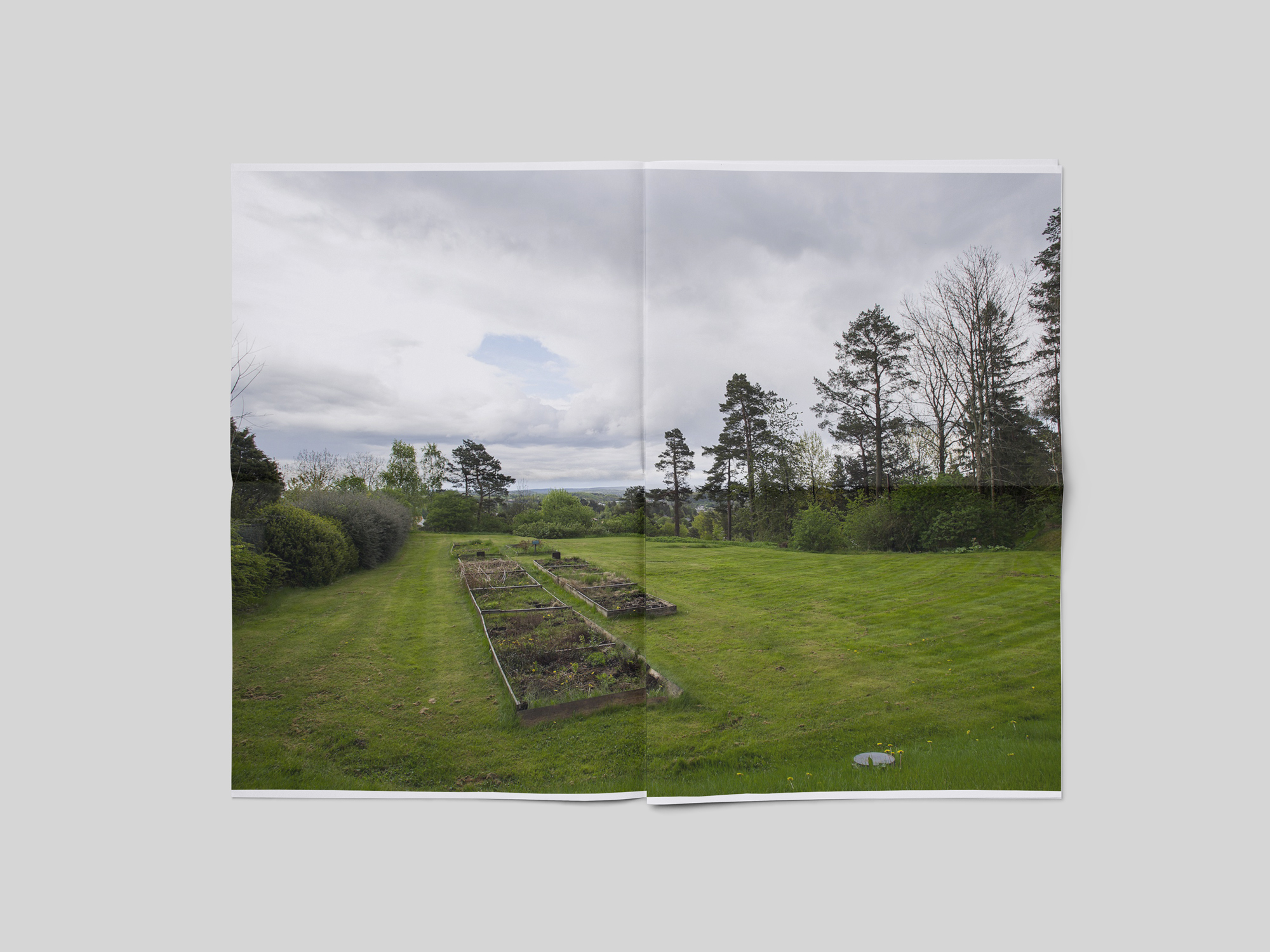 landscape_3564