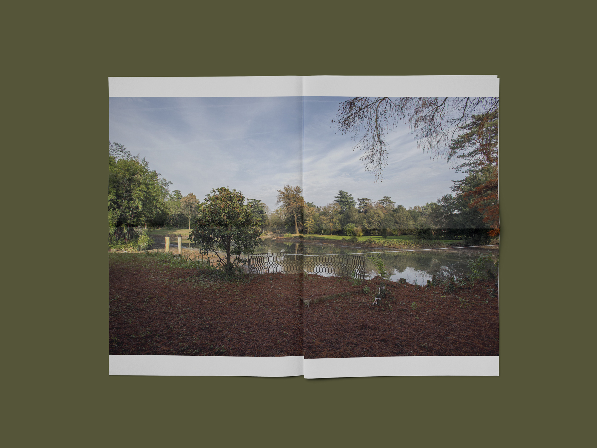 landscape_360