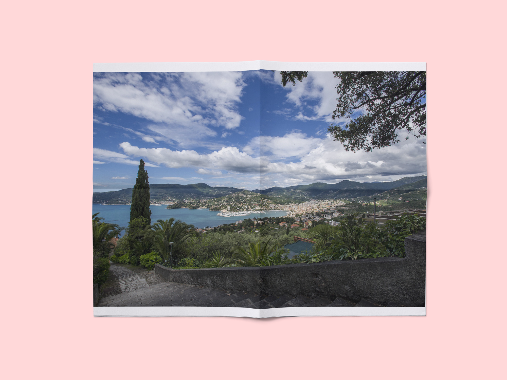 landscape_3764