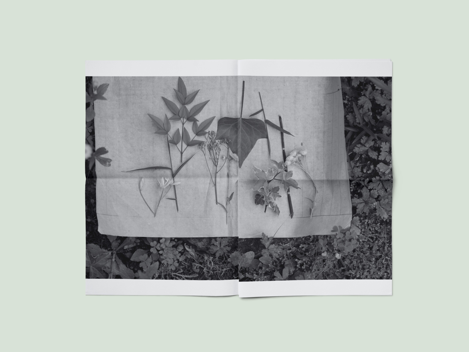 still-life_0936