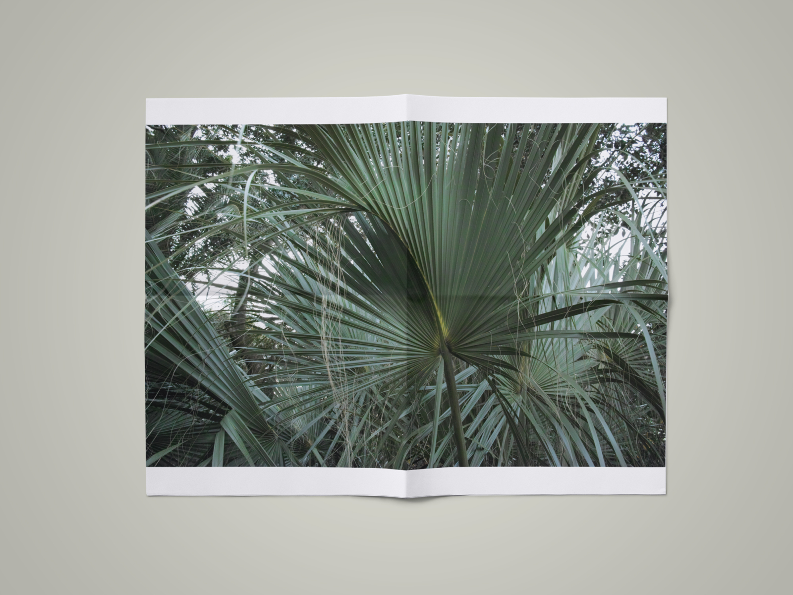 STILL LIFE_938725