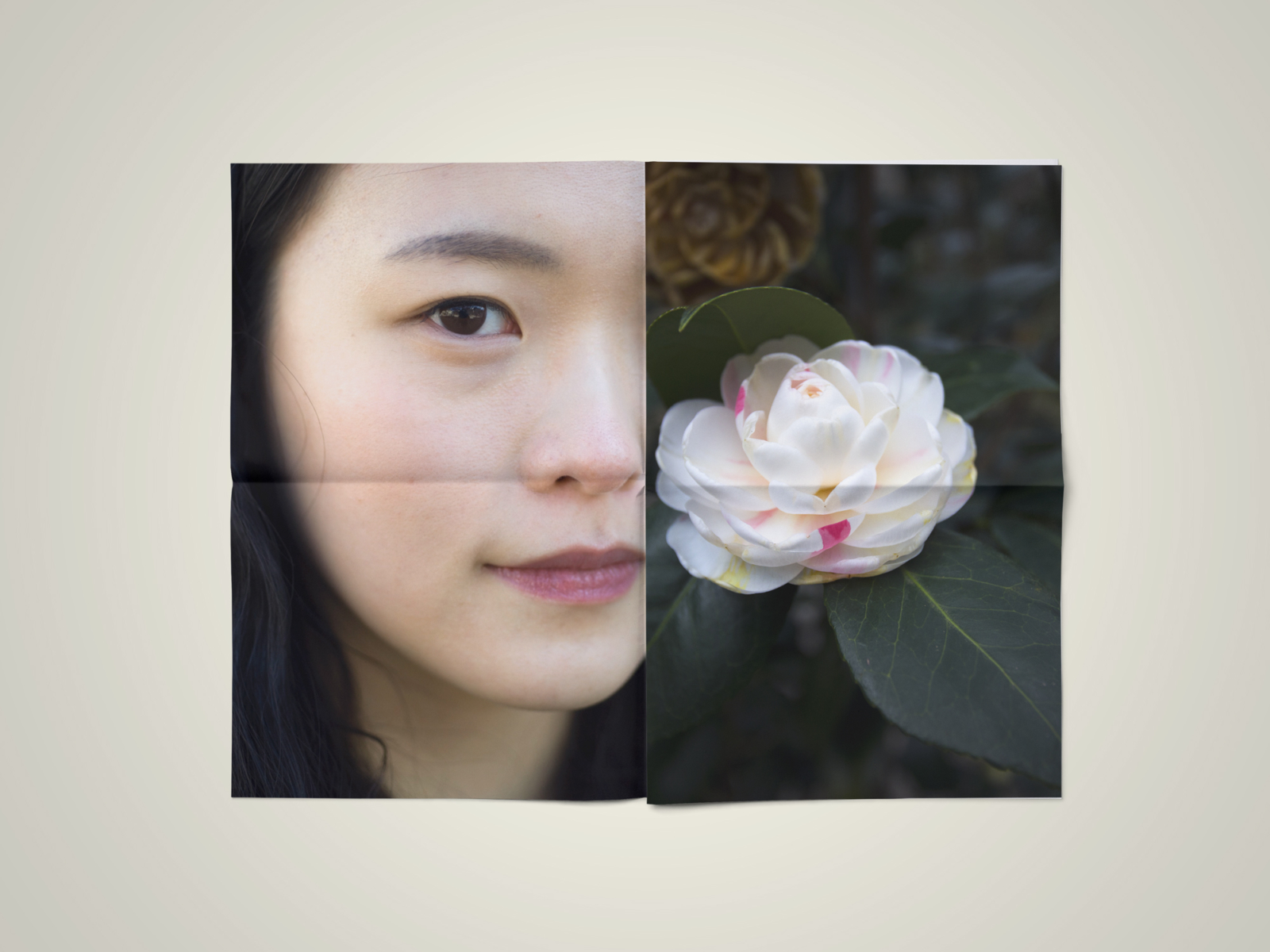 diary_98376
