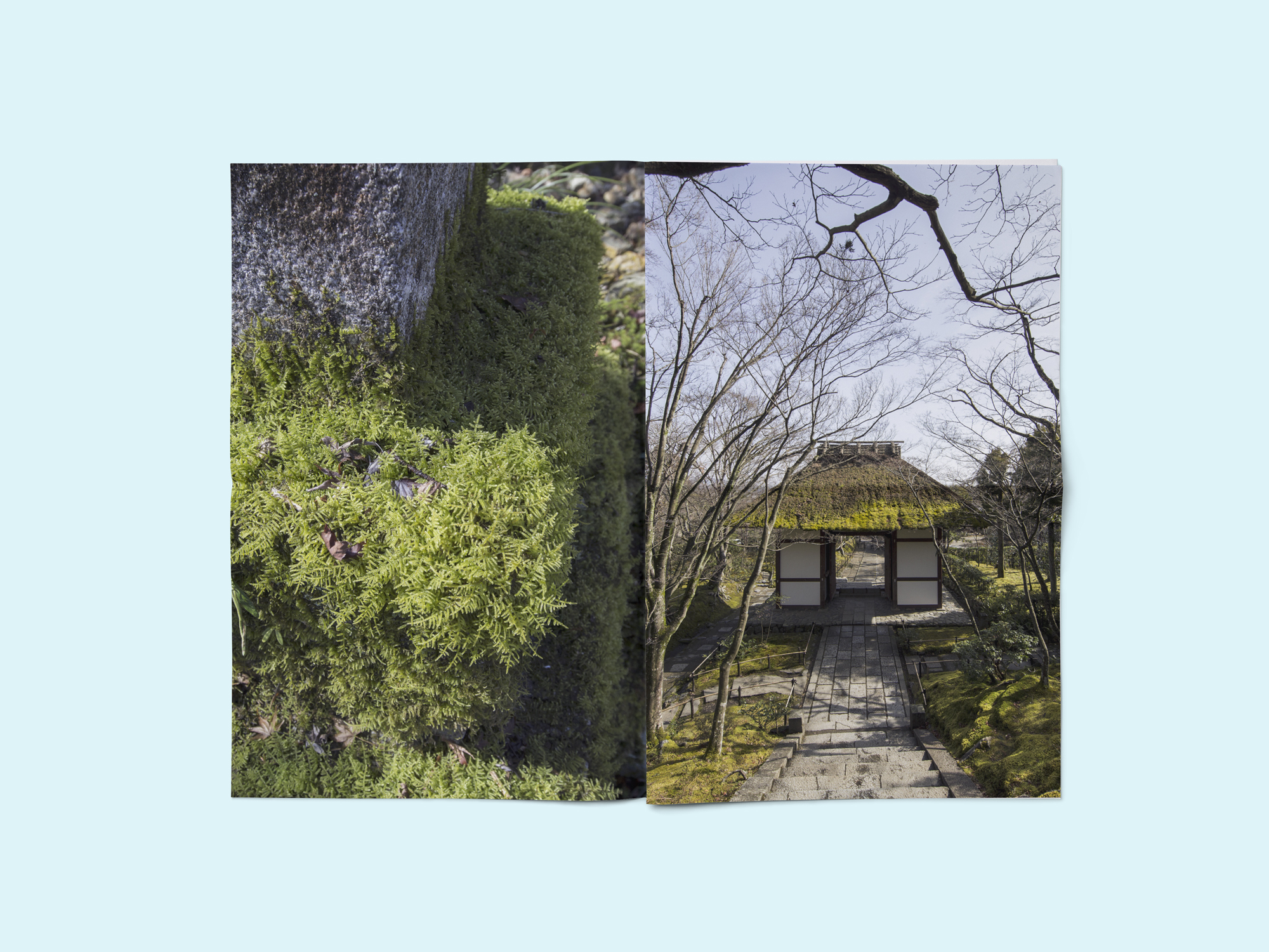 landscape_32354