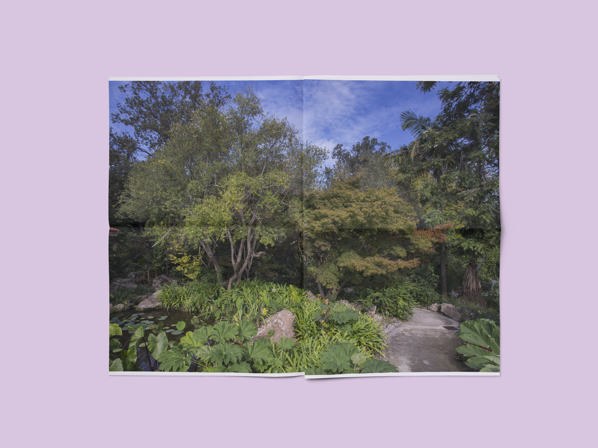 landscape_983787665