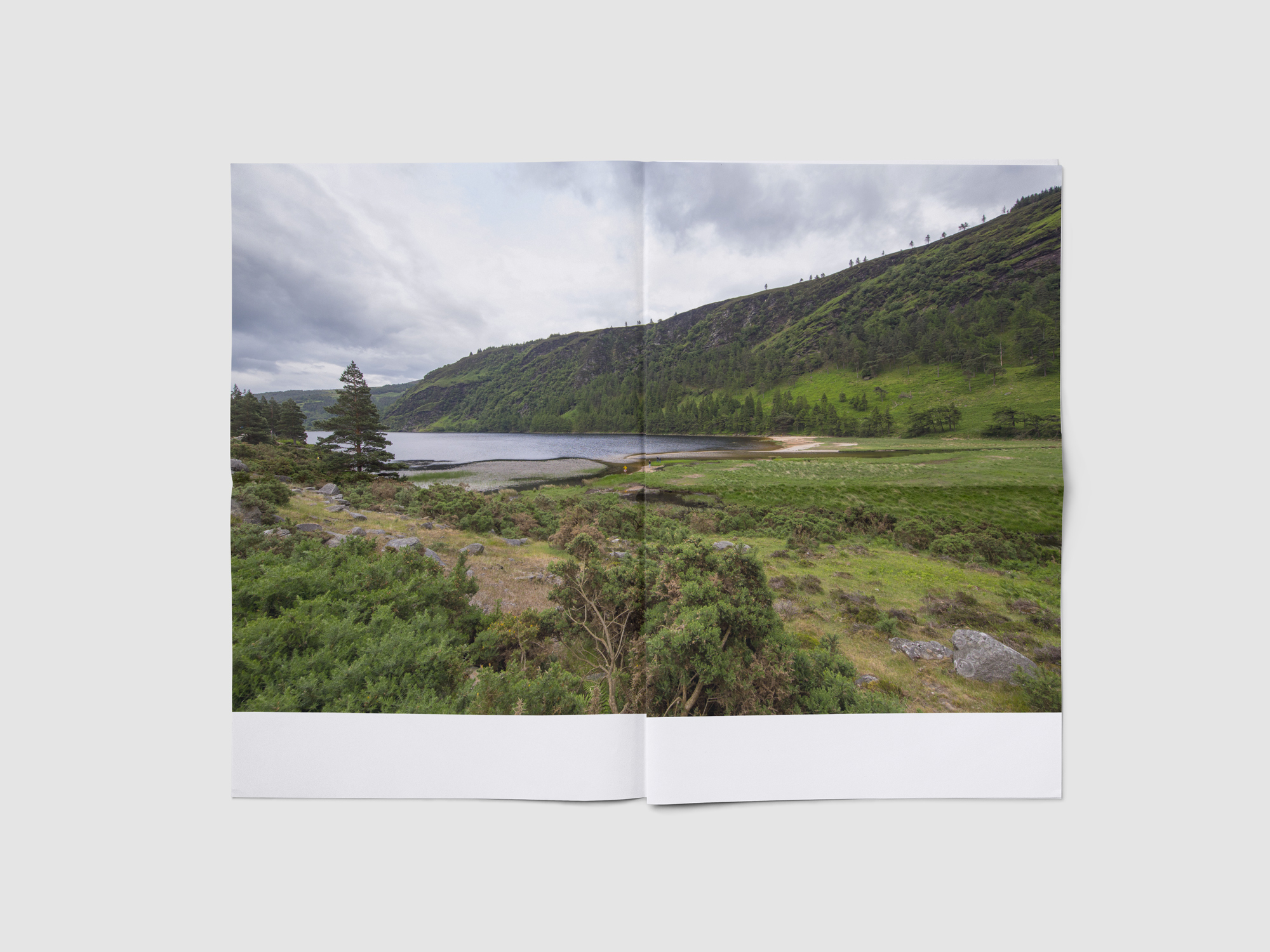 landscape_9872222987