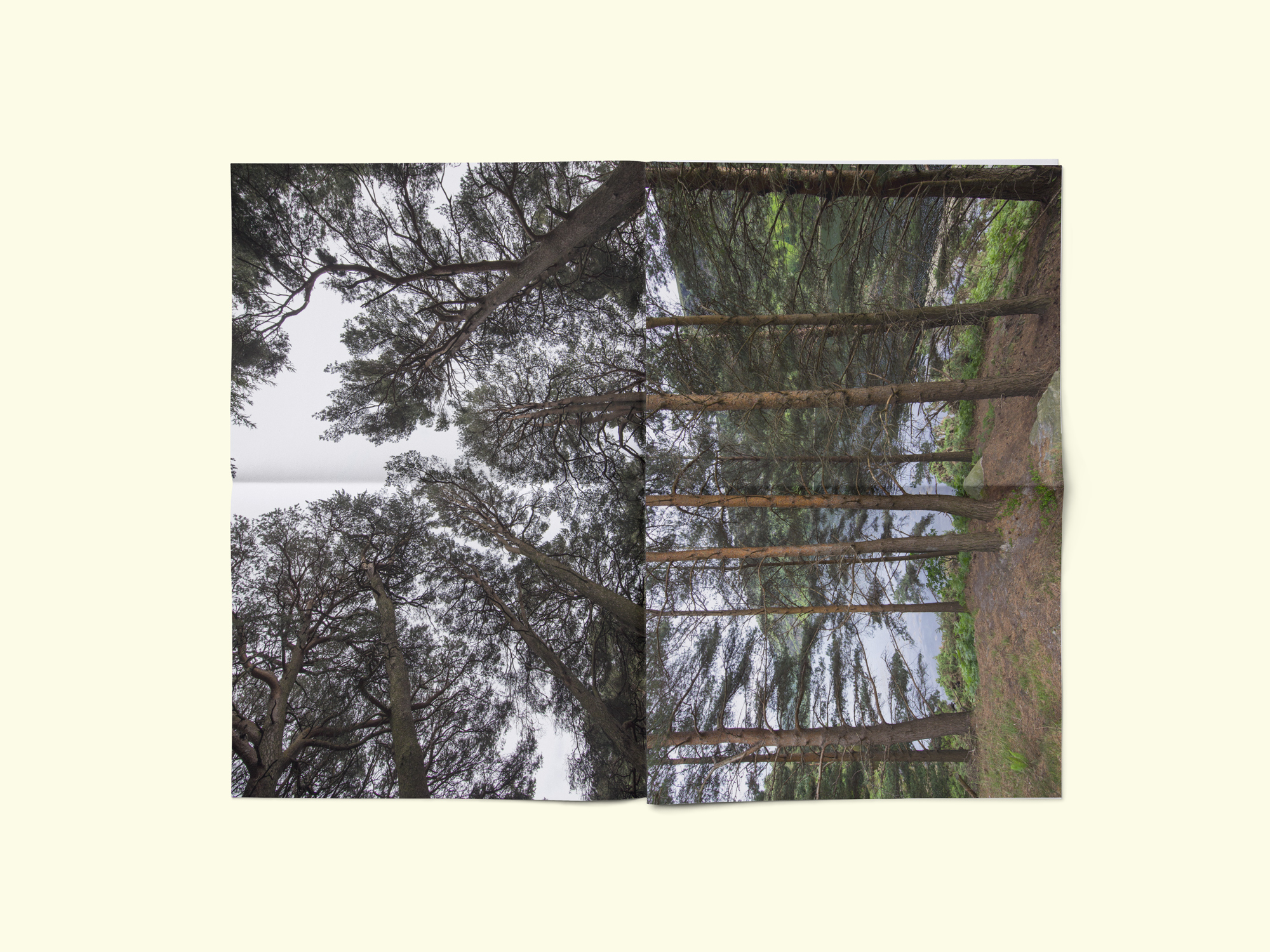 landscape_98760987