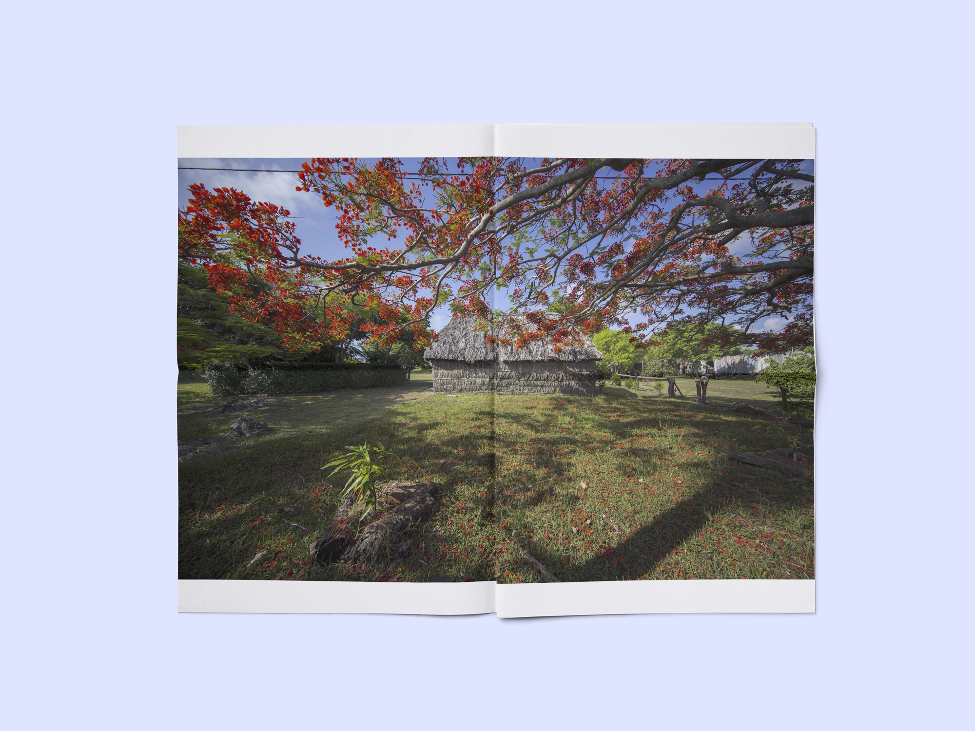 landscape_398437847322