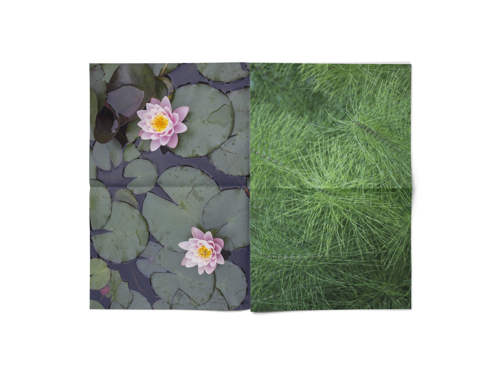 garden_033458283