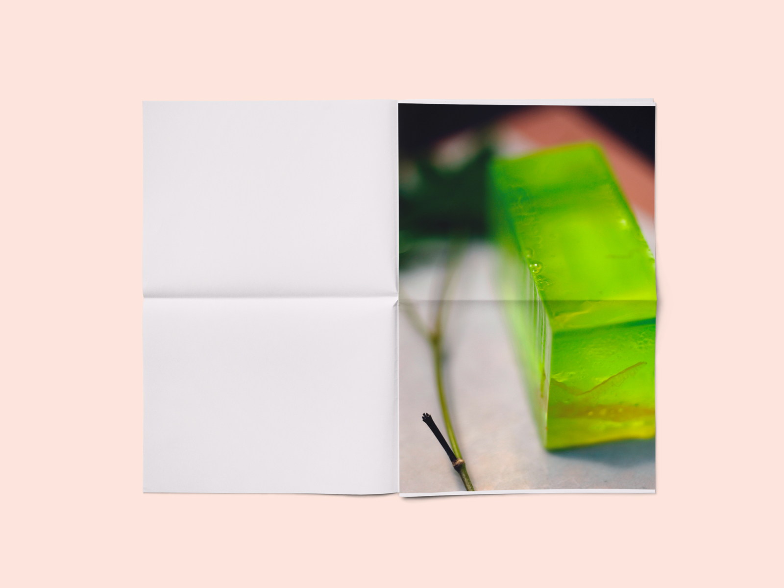 still-life_309498225365