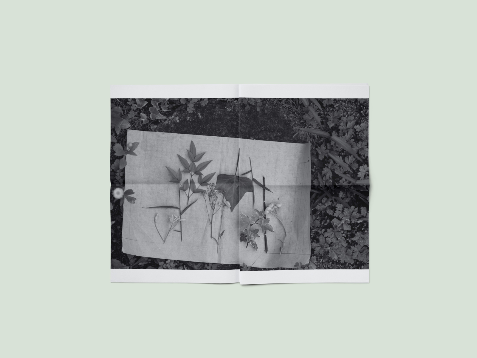 still-life_3094982325365