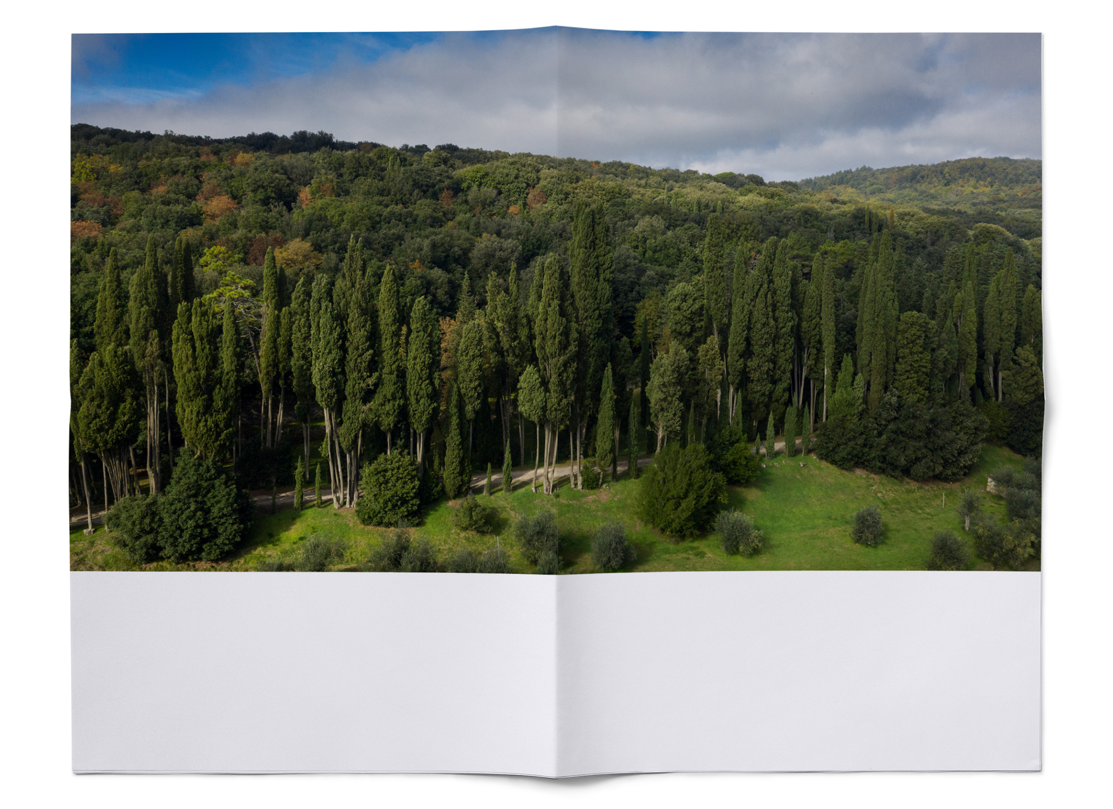 landscape_tuscany_309